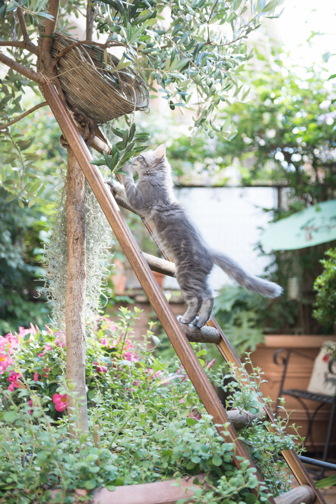 Aménagement d'un jardin romantique.