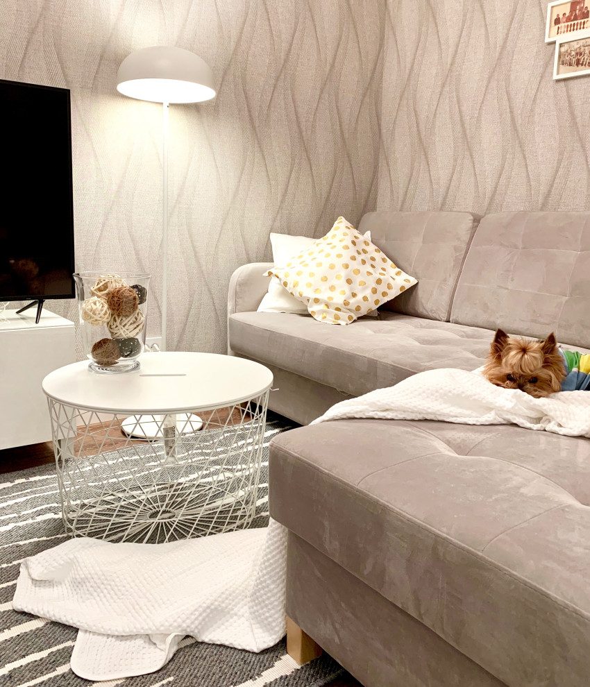 Modelo de salón nórdico pequeño con paredes grises, suelo vinílico y televisor independiente