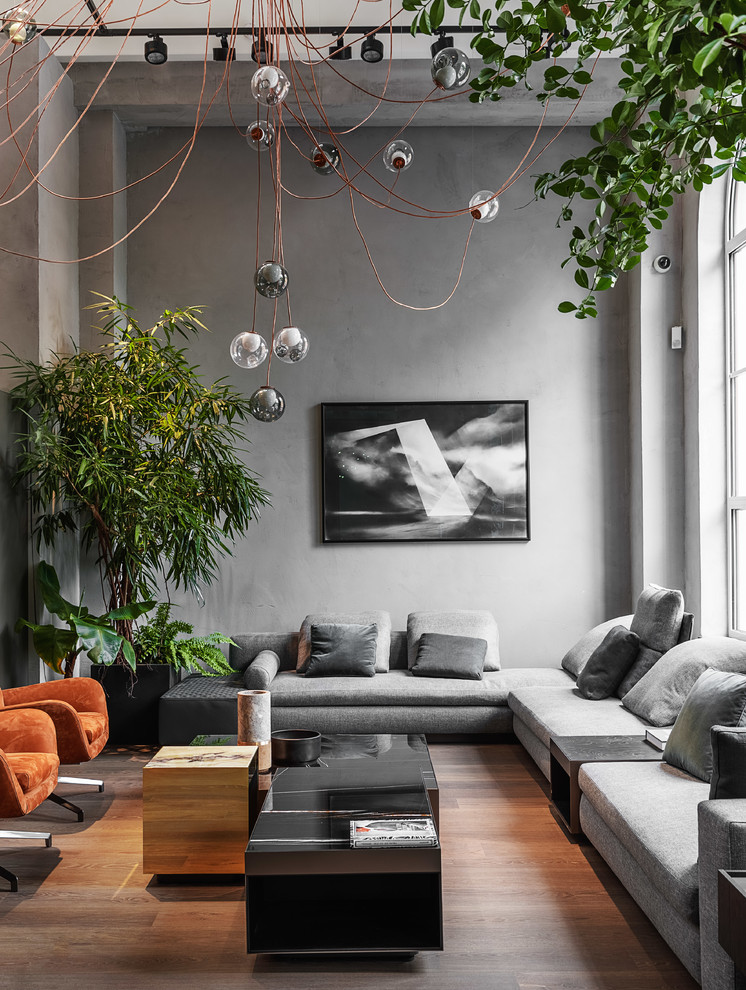 Ispirazione per un soggiorno design con pareti grigie, pavimento in legno massello medio e nessuna TV