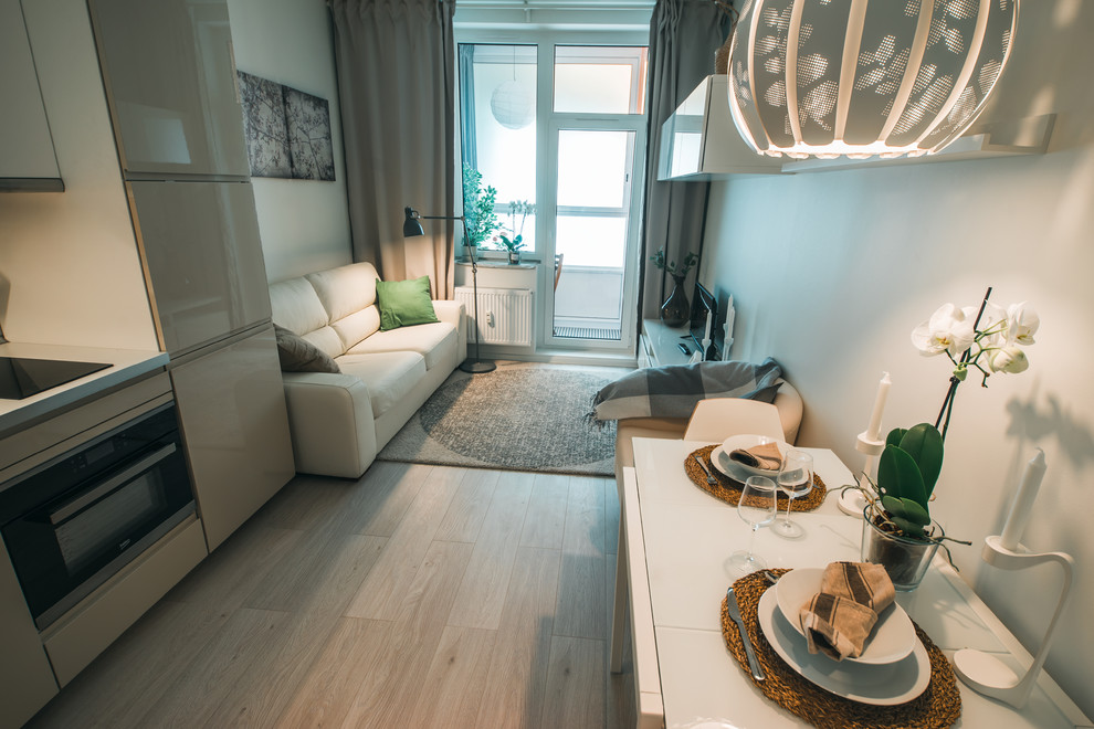 Diseño de sala de estar escandinava pequeña con paredes blancas y suelo laminado