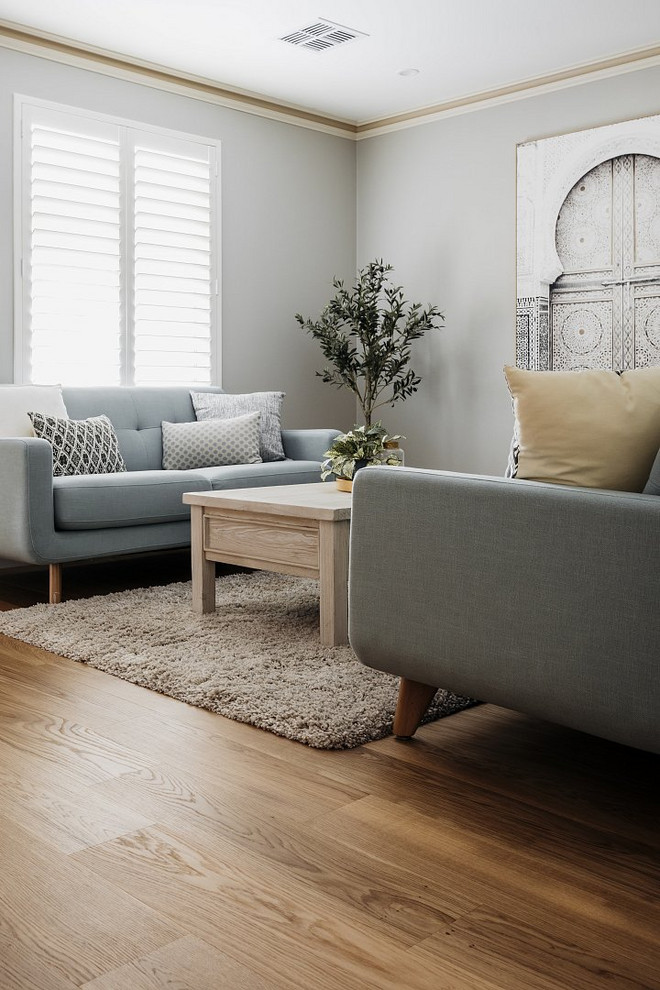 Idee per un soggiorno design di medie dimensioni e aperto con pareti grigie, parquet chiaro e pavimento beige