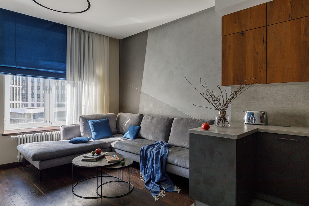 Modernes Wohnzimmer mit grauer Wandfarbe und braunem Boden in Moskau