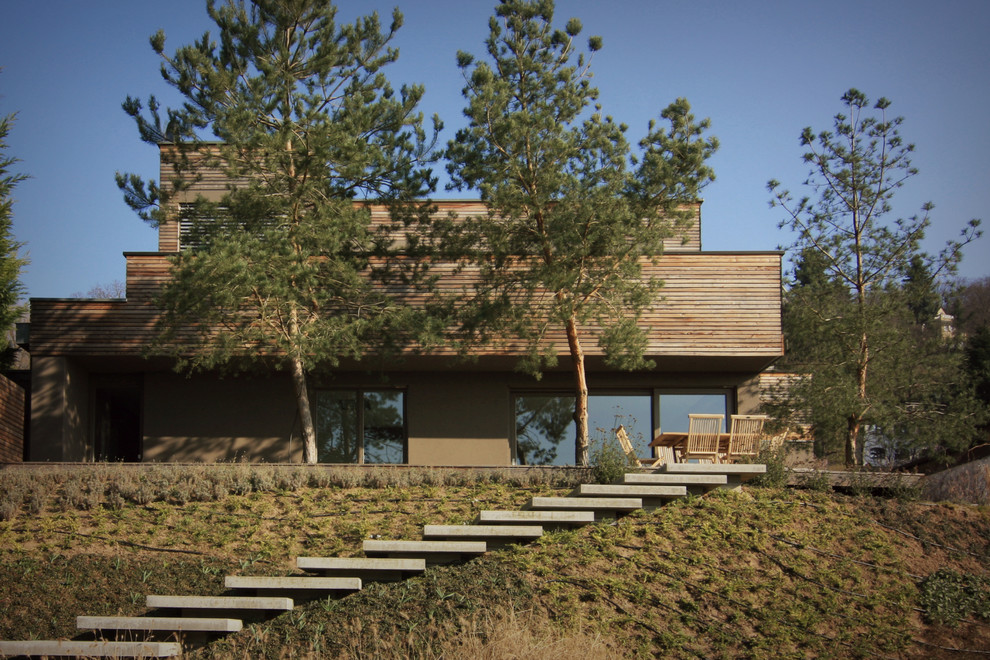 Esempio della facciata di una casa moderna a due piani di medie dimensioni con rivestimento in legno e tetto piano