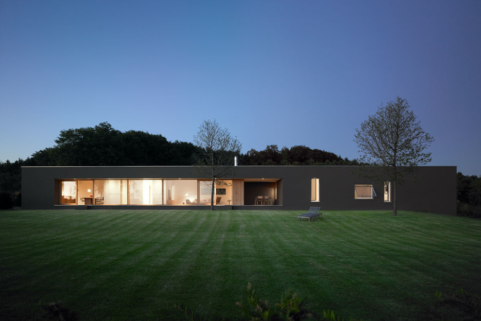Cette image montre une grande façade de maison noire minimaliste de plain-pied avec un toit plat.