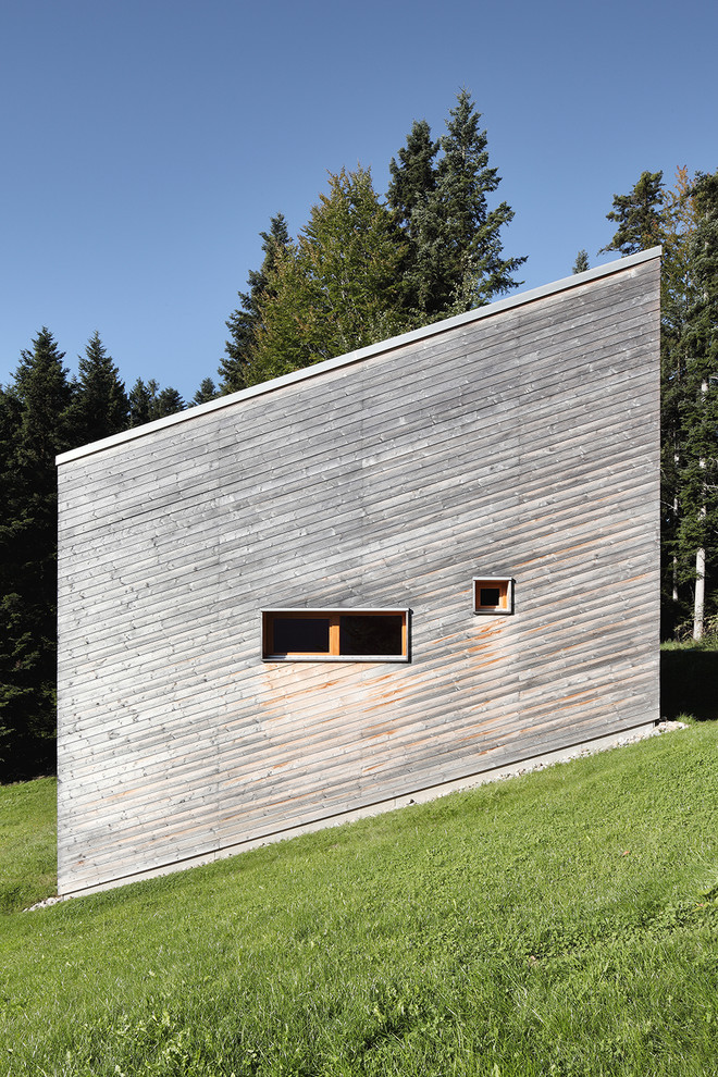 Свежая идея для дизайна: деревянный, коричневый, двухэтажный дом в современном стиле с односкатной крышей - отличное фото интерьера