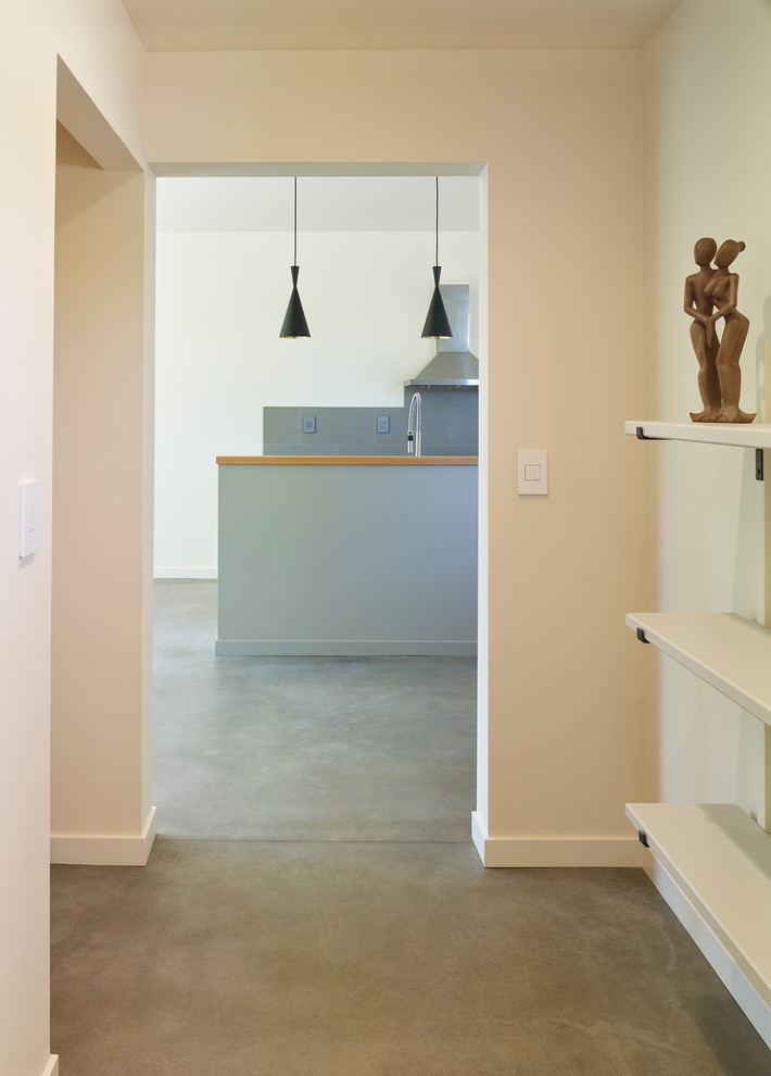 Источник вдохновения для домашнего уюта: коридор в стиле модернизм с бетонным полом