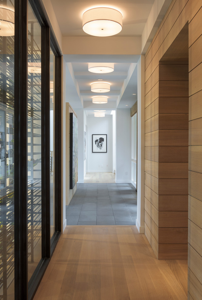 На фото: большой коридор: освещение в стиле модернизм с белыми стенами и светлым паркетным полом