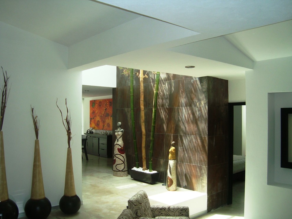 Inspiration for a contemporary hallway remodel in Mexico City