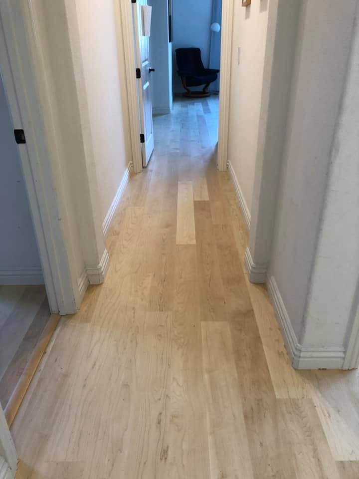 Inspiration for a mid-sized contemporary light wood floor and multicolored floor hallway remodel in San Diego with white walls