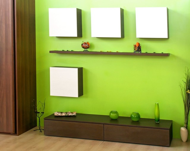Bright green entry way accent wall - Modern - Hallway & Landing