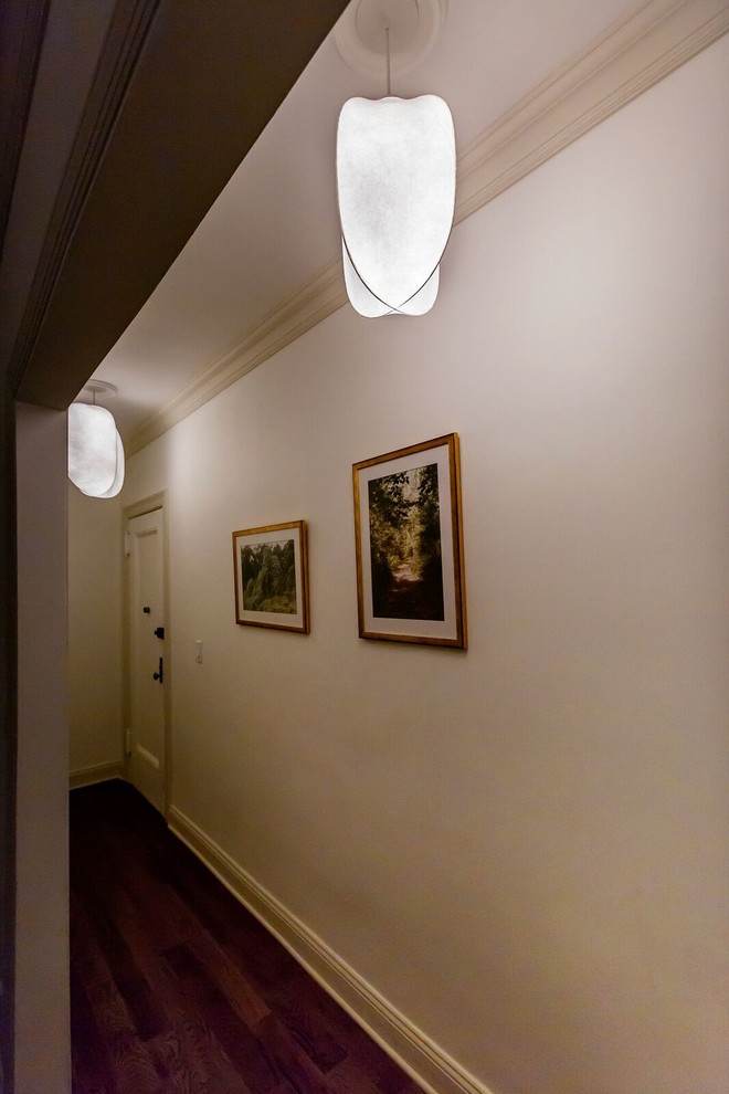 ニューヨークにある高級な小さなコンテンポラリースタイルのおしゃれな廊下 (白い壁、濃色無垢フローリング、茶色い床、クロスの天井、壁紙、白い天井) の写真