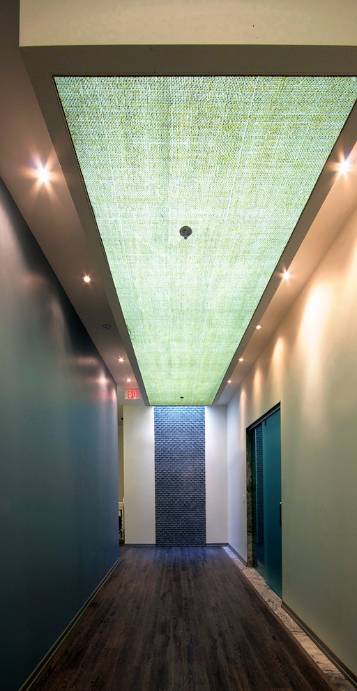 Источник вдохновения для домашнего уюта: коридор среднего размера в стиле модернизм с бежевыми стенами и ковровым покрытием