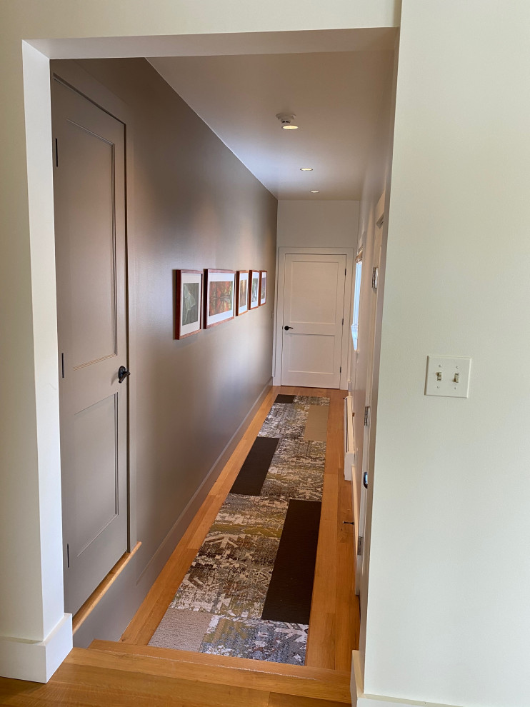 Diseño de recibidores y pasillos minimalistas de tamaño medio con paredes multicolor y suelo de madera en tonos medios