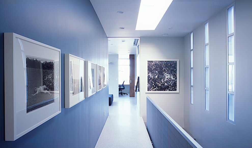 Idées déco pour un couloir moderne avec un mur bleu, un sol en terrazzo et un sol blanc.