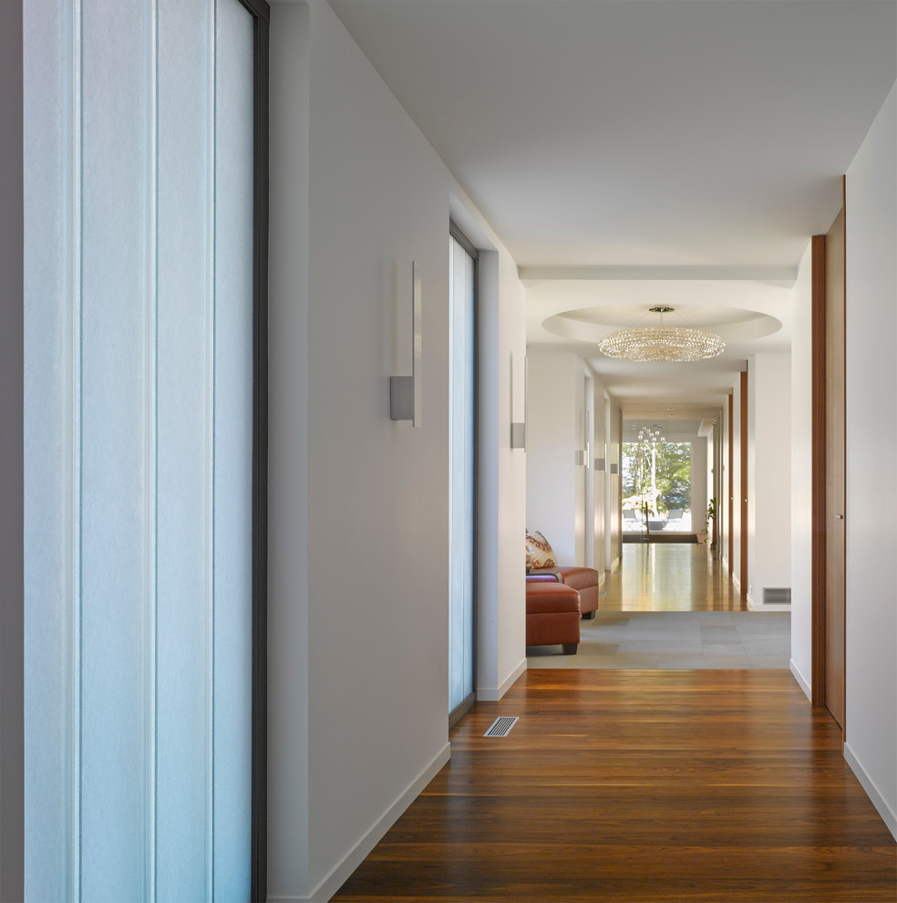 Ejemplo de recibidores y pasillos actuales grandes con paredes blancas y suelo de madera en tonos medios