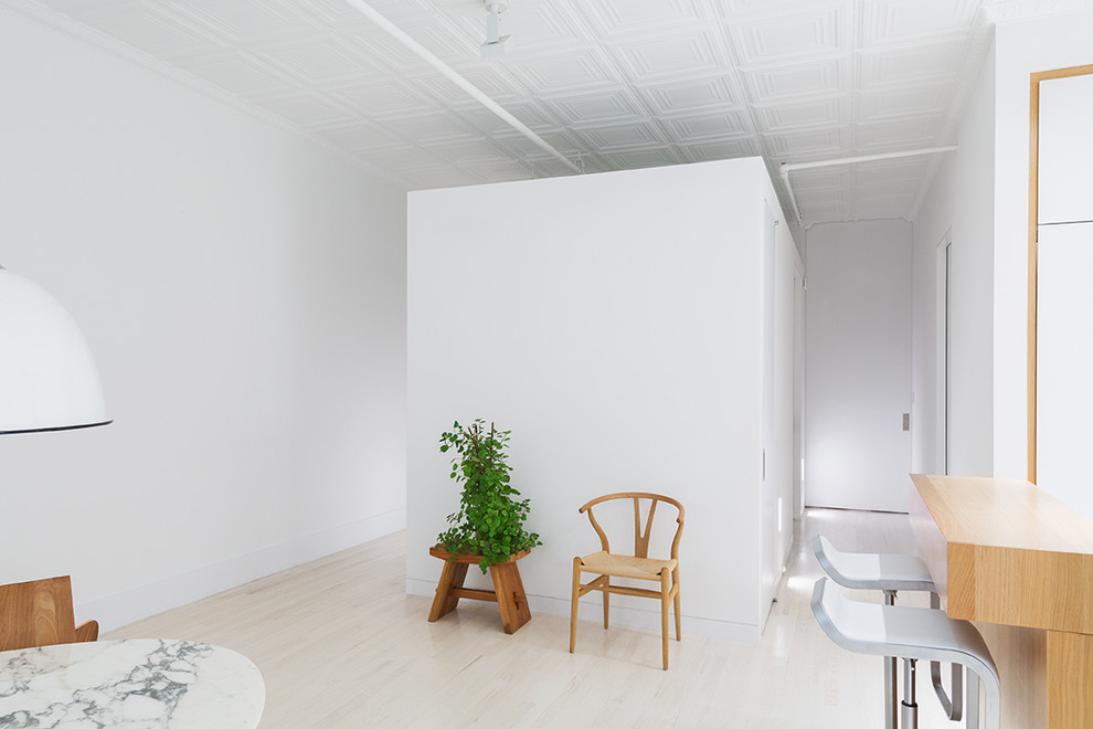 Modelo de recibidores y pasillos modernos de tamaño medio con paredes blancas y suelo de madera clara