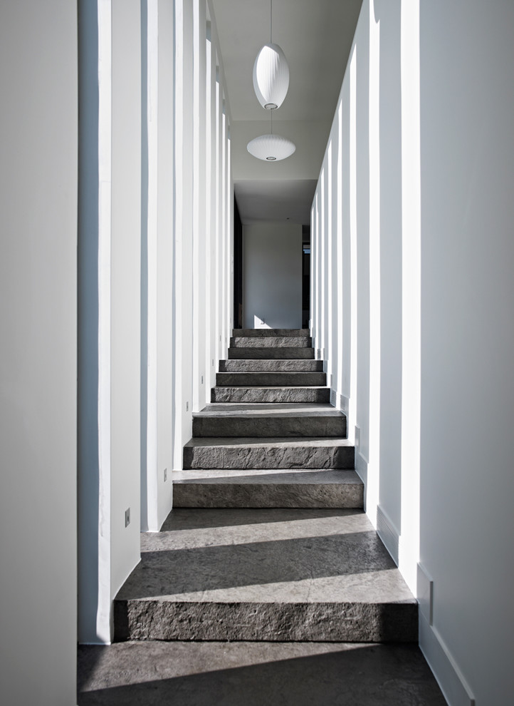 トロントにある広いコンテンポラリースタイルのおしゃれな廊下 (白い壁、スレートの床) の写真