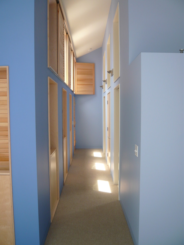 Idéer för en modern hall, med blå väggar