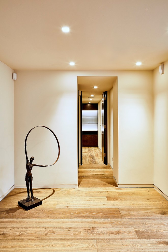 Imagen de recibidores y pasillos actuales de tamaño medio con paredes blancas y suelo de madera clara
