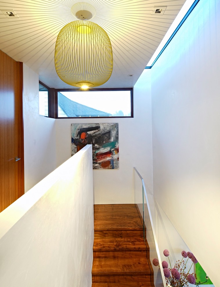 Ispirazione per un ingresso o corridoio minimalista di medie dimensioni con pareti bianche, parquet scuro e pavimento marrone