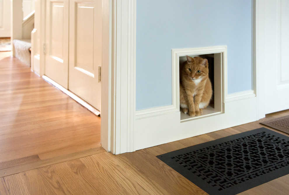 Cat door 1