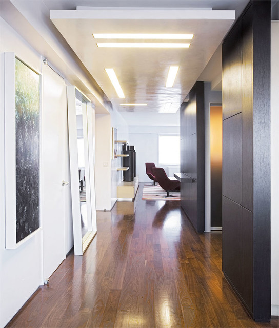 Downtown Duplex Contemporary Hall Chicago by Axis Mundi