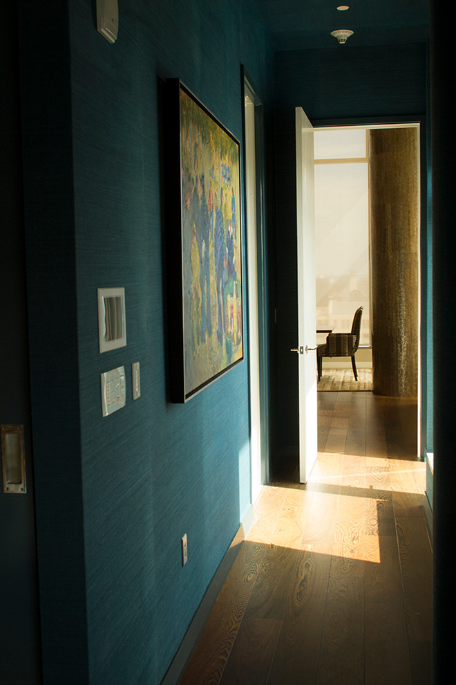 オースティンにある高級な中くらいなコンテンポラリースタイルのおしゃれな廊下 (青い壁、無垢フローリング) の写真