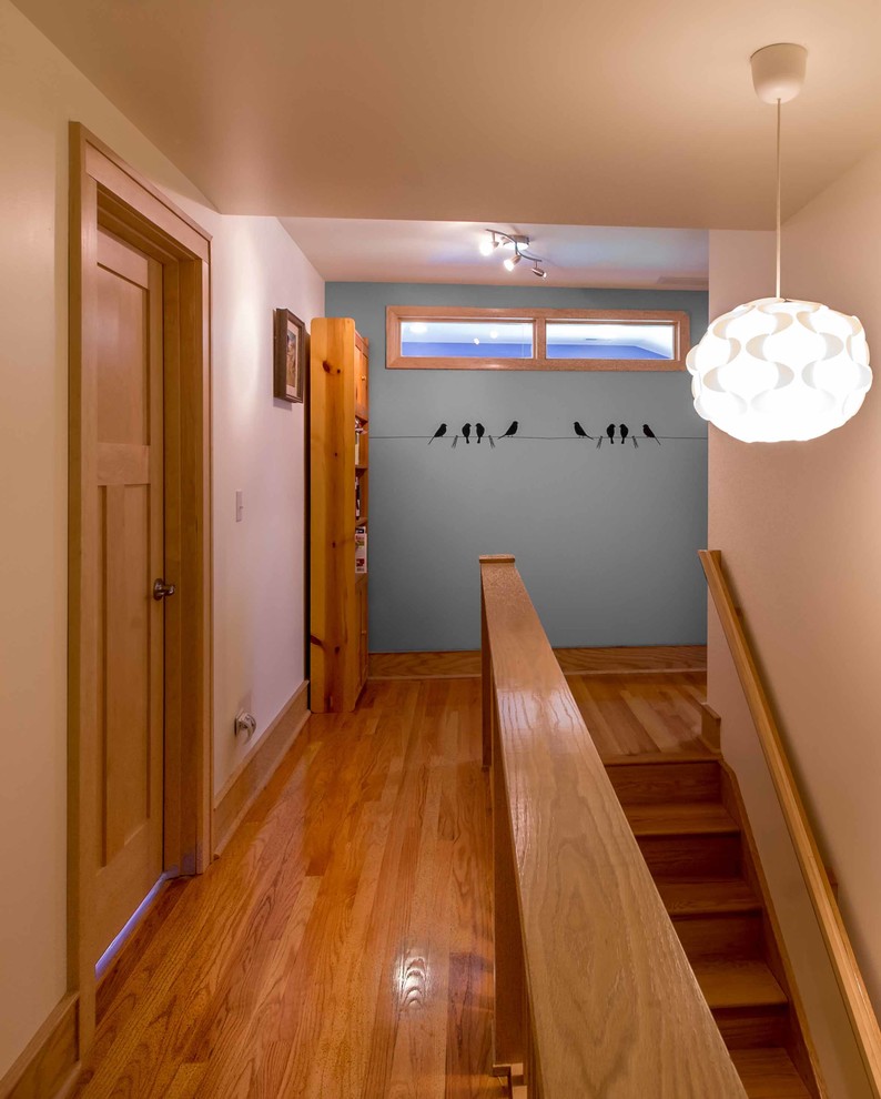 На фото: коридор среднего размера: освещение в стиле фьюжн с разноцветными стенами, паркетным полом среднего тона, коричневым полом, потолком с обоями и обоями на стенах с