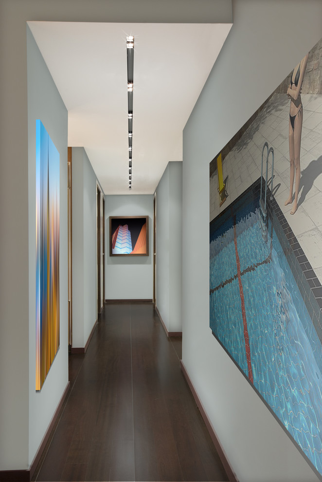 Inspiration for a contemporary dark wood floor hallway remodel in Miami with gray walls