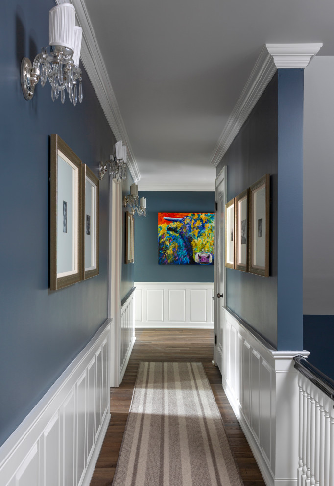 Example of a mid-sized transitional medium tone wood floor and brown floor hallway design in Chicago with blue walls