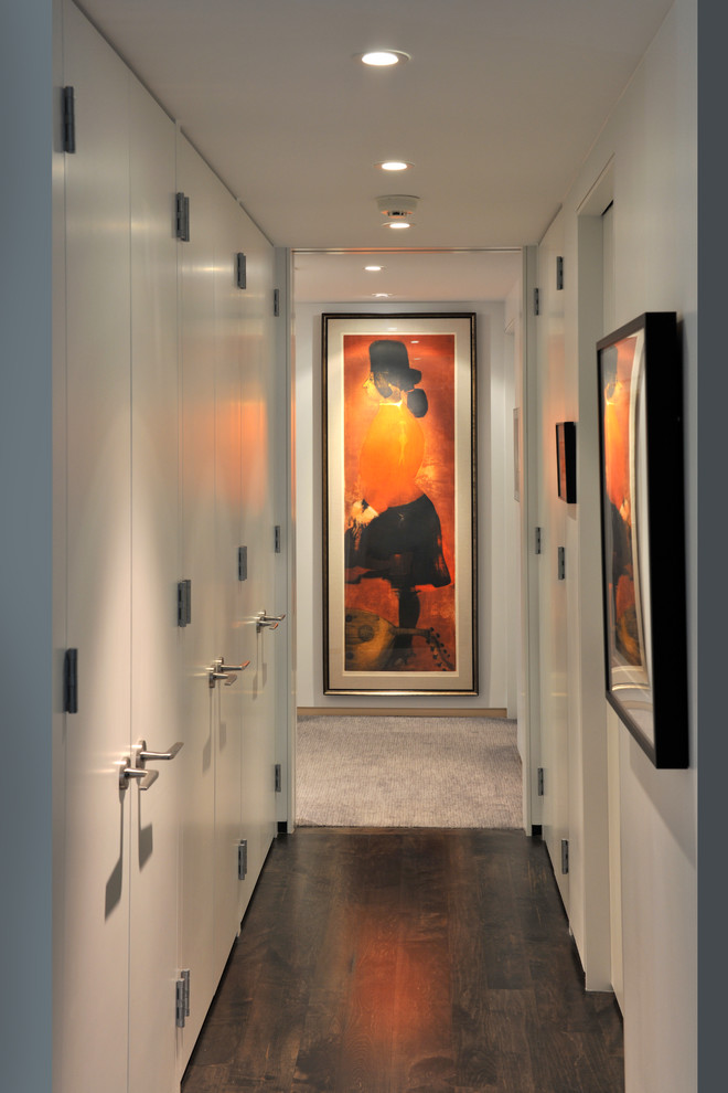 Hallway - contemporary dark wood floor hallway idea in Other with white walls