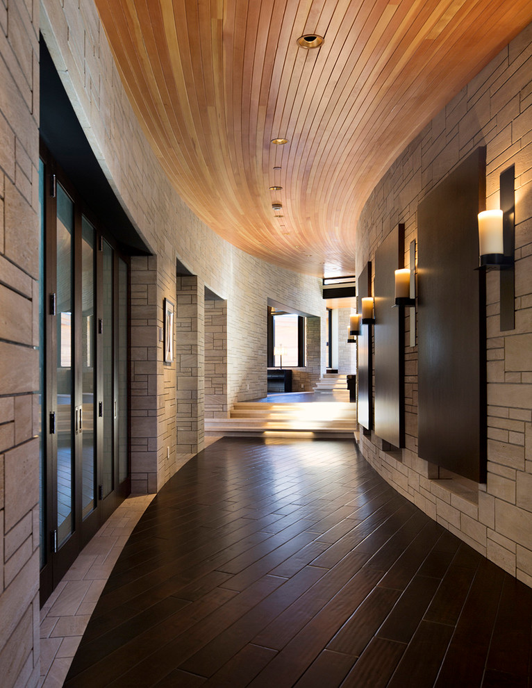 Hallway - large contemporary dark wood floor hallway idea in Other