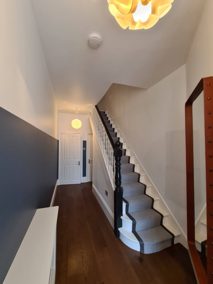 Immagine di un ingresso o corridoio minimalista di medie dimensioni con pareti blu, parquet scuro, pavimento marrone e soffitto ribassato