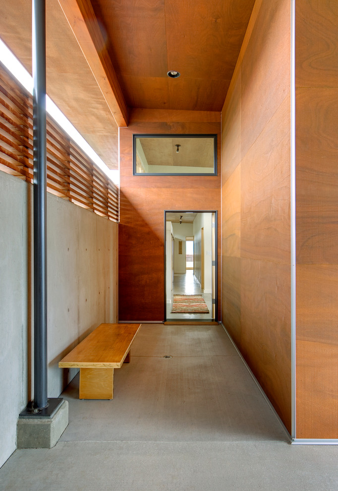 Свежая идея для дизайна: коридор в современном стиле с коричневыми стенами и бетонным полом - отличное фото интерьера
