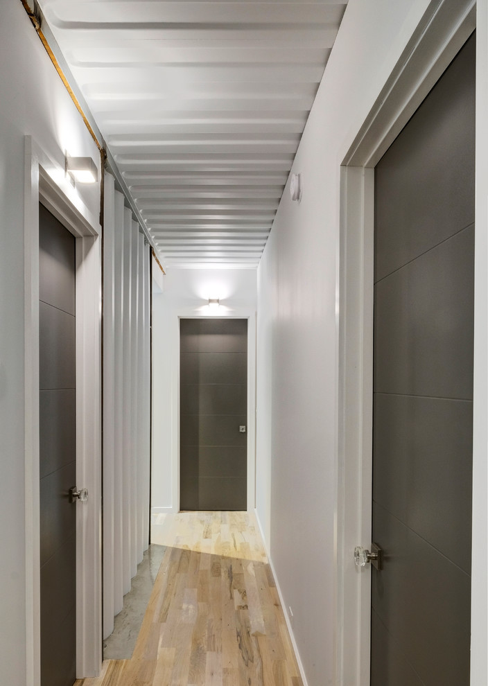 Hallway - transitional hallway idea in Other