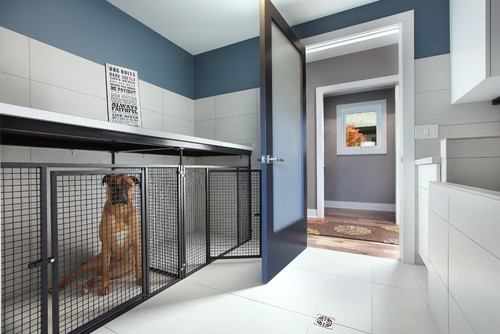 Built in dog crates in large room 
