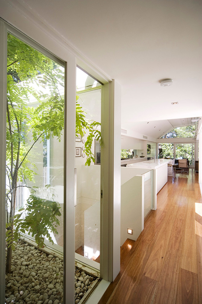 Example of a mid-sized trendy light wood floor hallway design in Sydney with white walls
