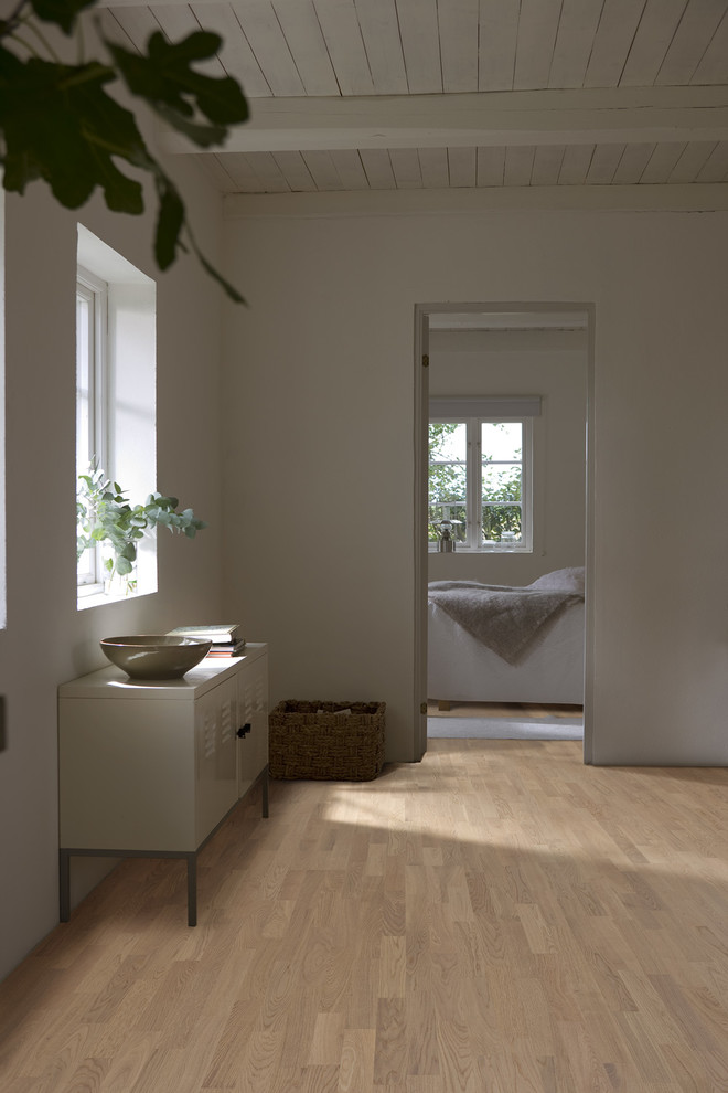 Idéer för en mellanstor minimalistisk hall, med vita väggar och ljust trägolv