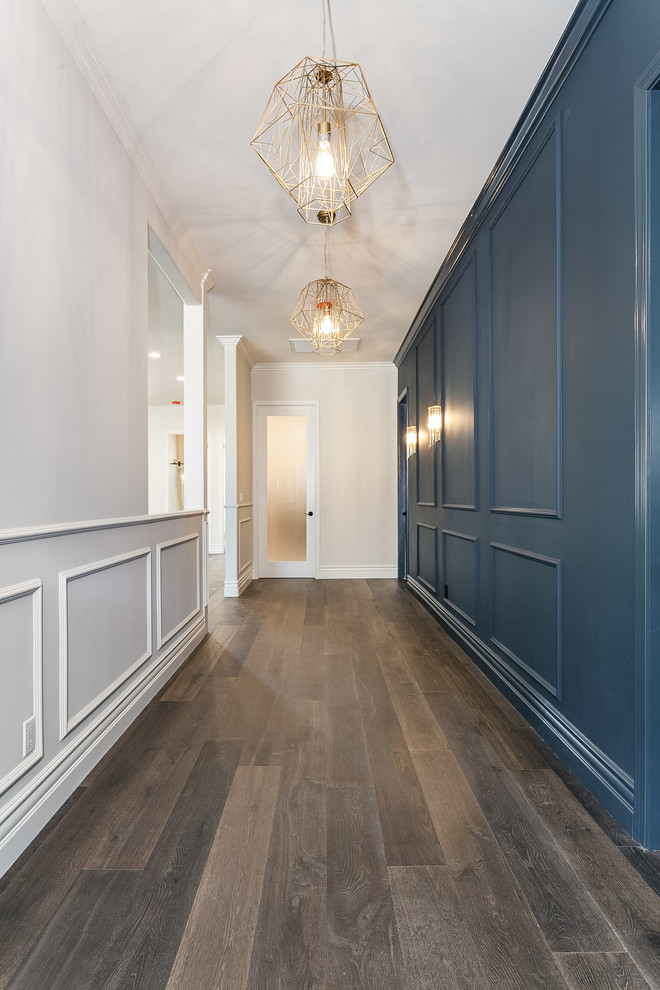 Immagine di un ingresso o corridoio contemporaneo di medie dimensioni con pareti blu, parquet scuro e pavimento marrone