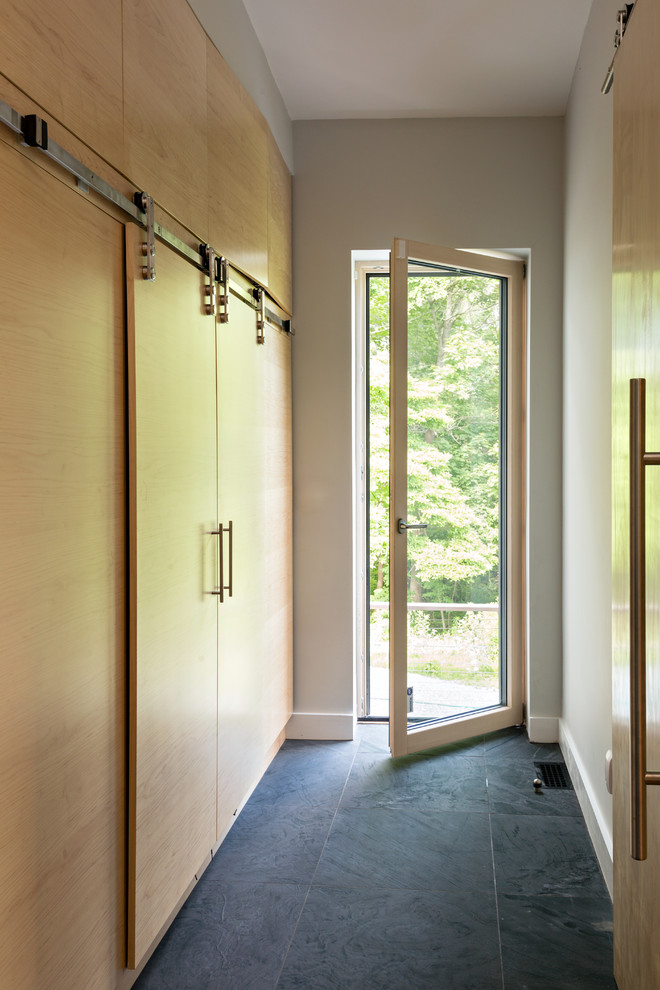 Esempio di un ingresso o corridoio minimalista di medie dimensioni con pareti beige, pavimento in legno massello medio e pavimento nero