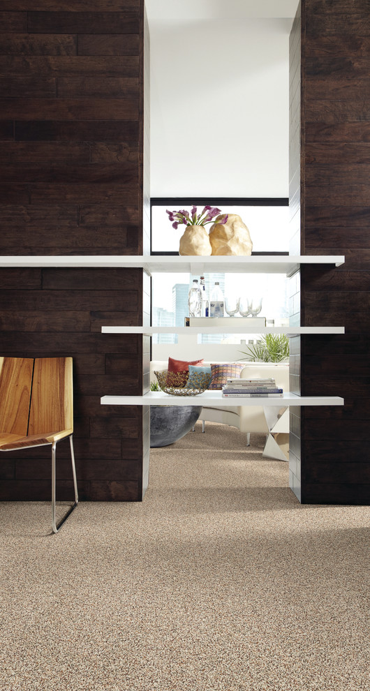 Example of a trendy carpeted hallway design in Jacksonville with white walls