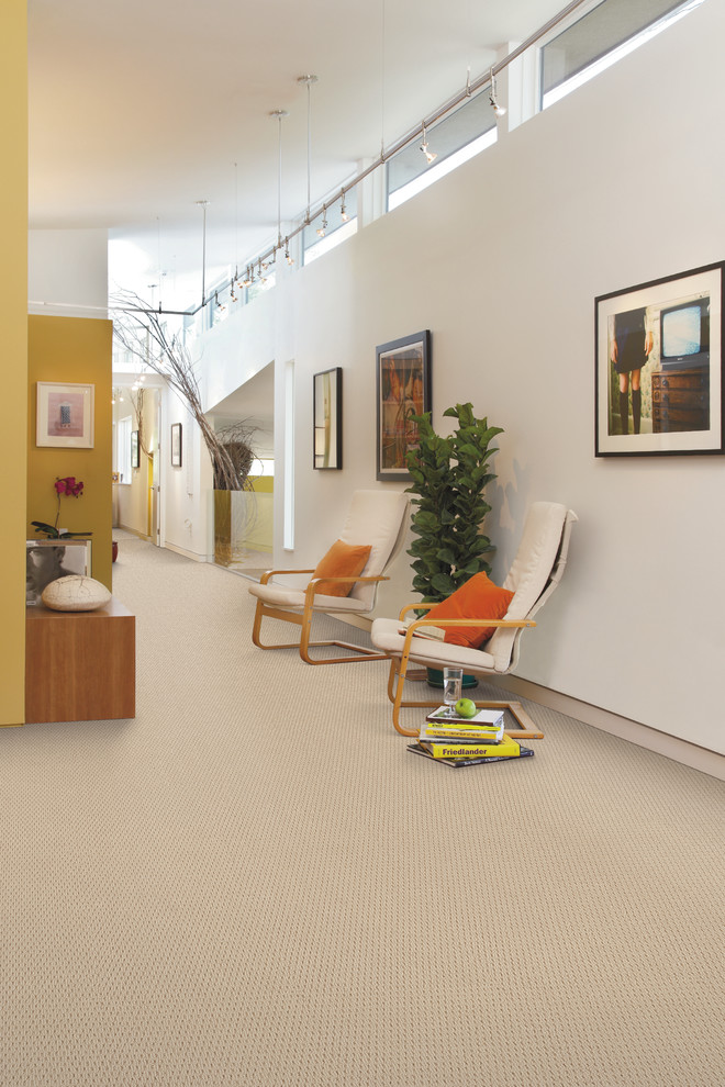 Hallway - contemporary carpeted hallway idea in Jacksonville with white walls