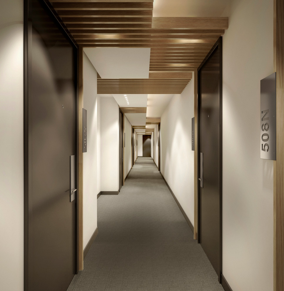 Luxury Nyc Condominium Building Hallway Contemporary Hall New York By Meshberg Group Houzz 9931