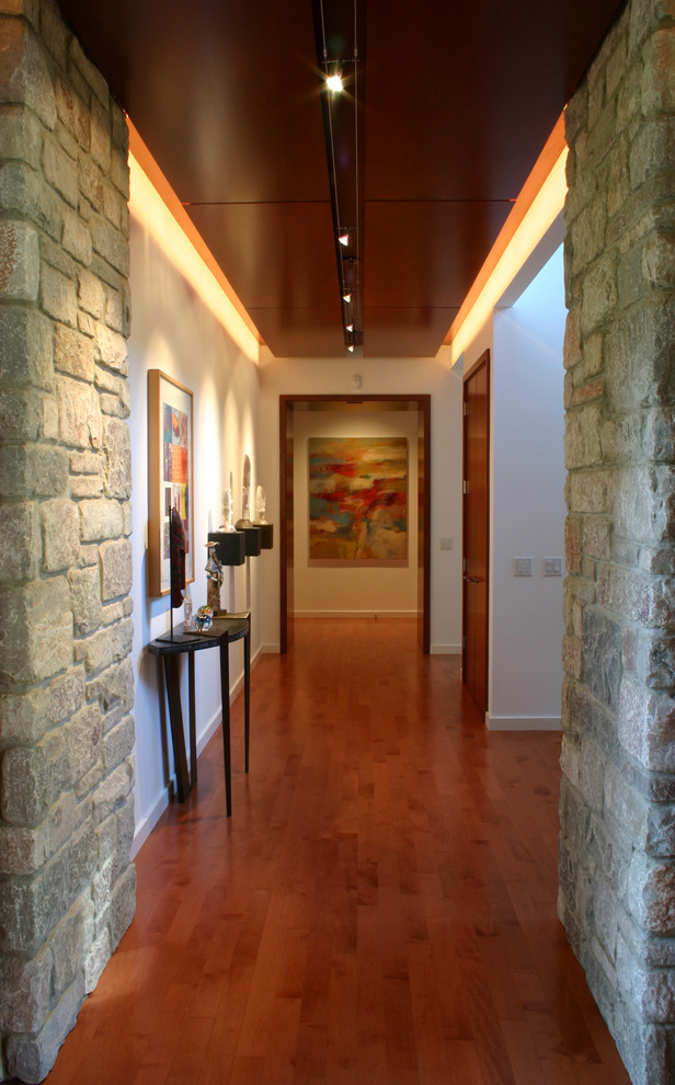 Стильный дизайн: большой коридор в стиле модернизм с паркетным полом среднего тона, белыми стенами и коричневым полом - последний тренд