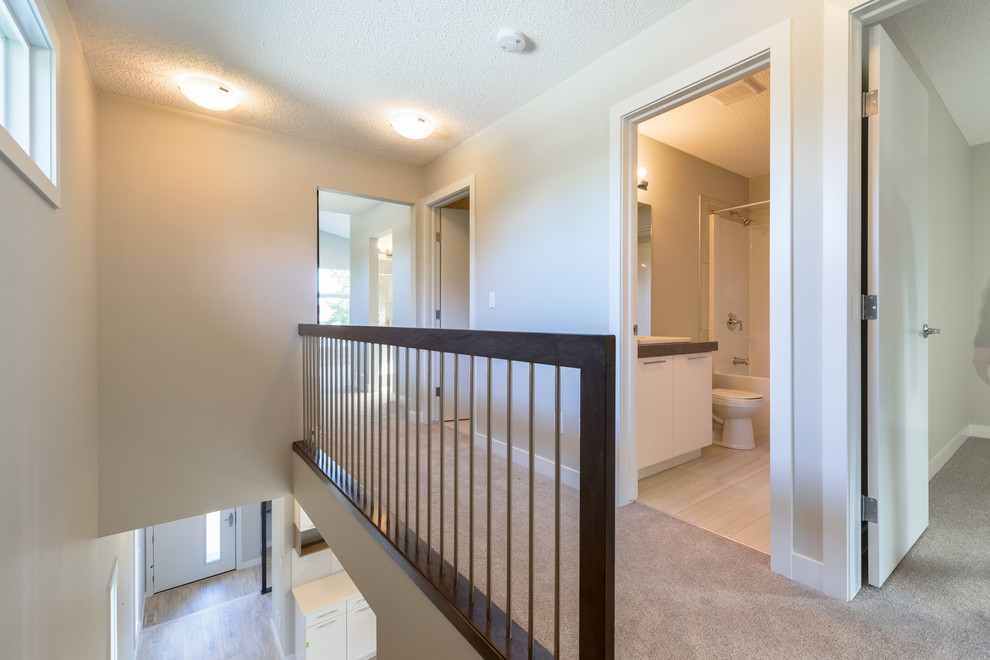 Источник вдохновения для домашнего уюта: коридор среднего размера в современном стиле с белыми стенами и ковровым покрытием
