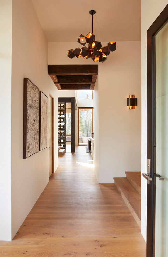 Источник вдохновения для домашнего уюта: коридор среднего размера в современном стиле с белыми стенами, паркетным полом среднего тона и коричневым полом