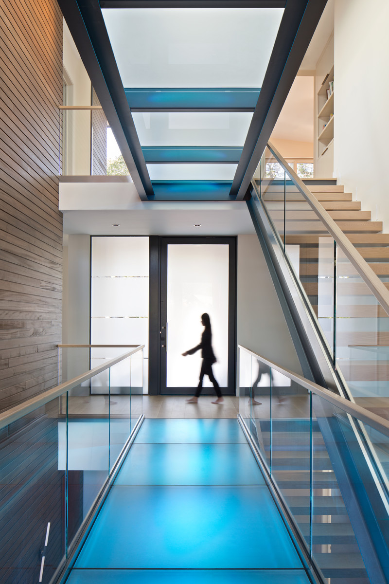 Свежая идея для дизайна: коридор в современном стиле с коричневыми стенами и синим полом - отличное фото интерьера