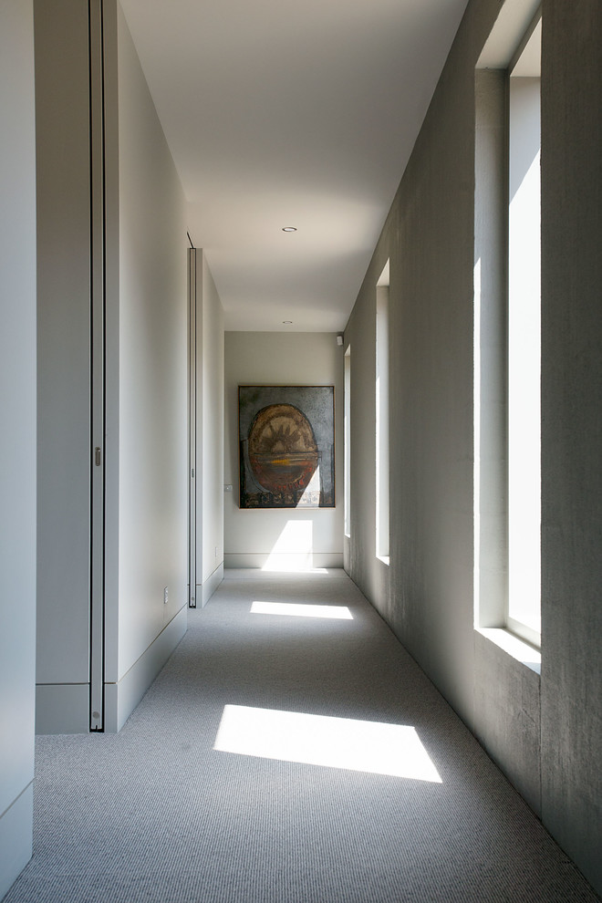 Ejemplo de recibidores y pasillos actuales de tamaño medio con paredes blancas, moqueta y suelo gris
