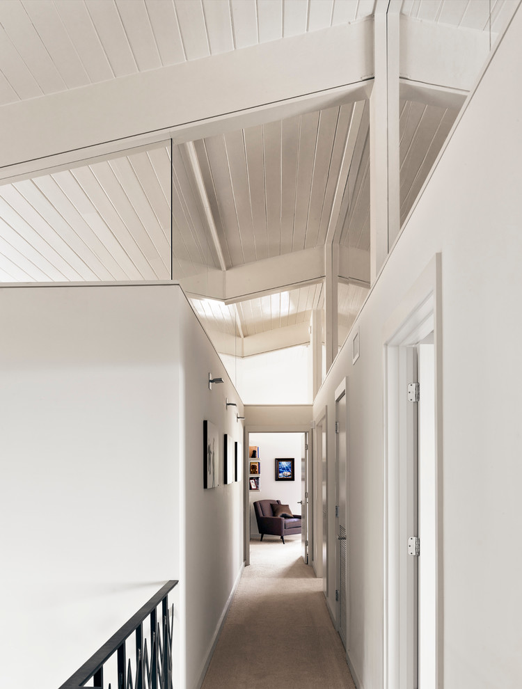 Hallway - mid-sized contemporary carpeted hallway idea in Austin with white walls