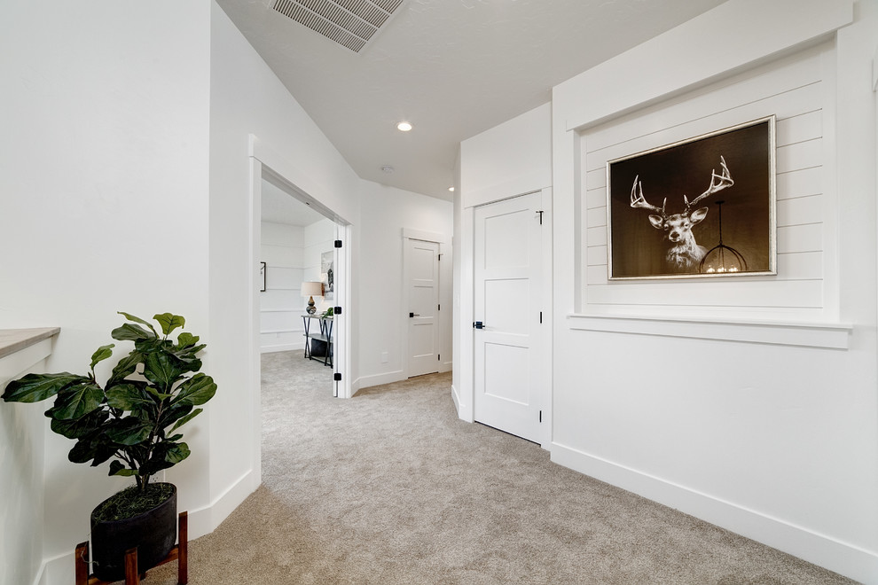 ボイシにある中くらいなカントリー風のおしゃれな廊下 (白い壁、カーペット敷き、ベージュの床) の写真